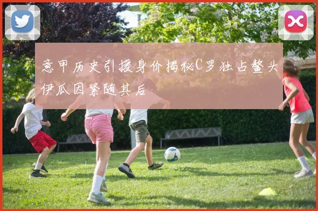 意甲历史引援身价揭秘C罗独占鳌头伊瓜因紧随其后